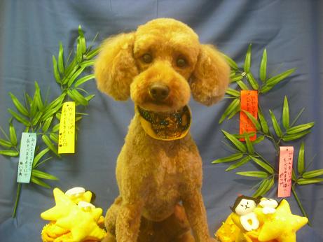 ファイル 4138-2.jpg