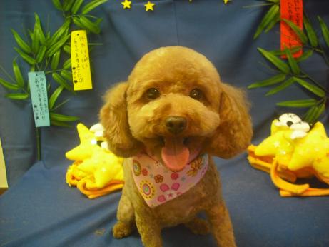 ファイル 4139-2.jpg