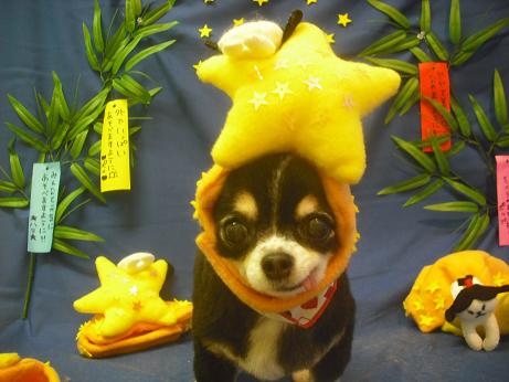 ファイル 4140-1.jpg