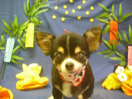 ファイル 4140-2.jpg