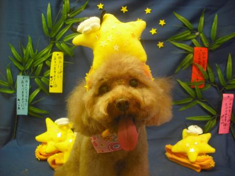 ファイル 4141-1.jpg