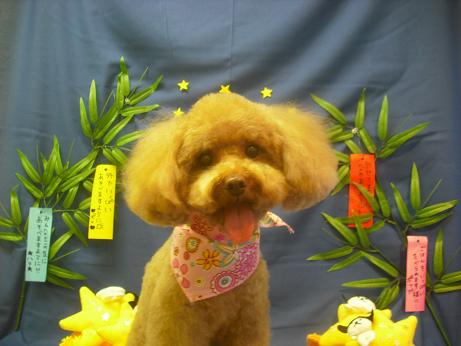 ファイル 4141-2.jpg