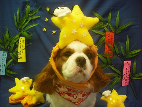 ファイル 4142-1.jpg