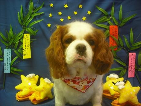 ファイル 4142-2.jpg