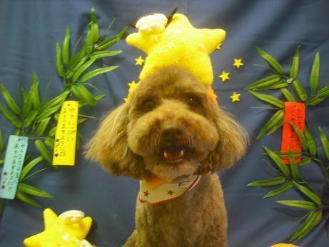 ファイル 4143-1.jpg