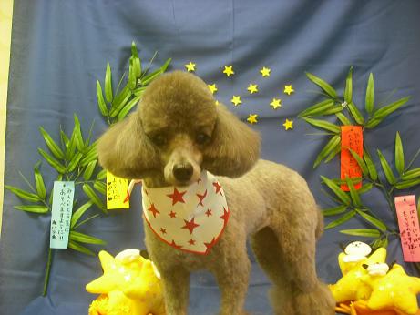 ファイル 4144-2.jpg