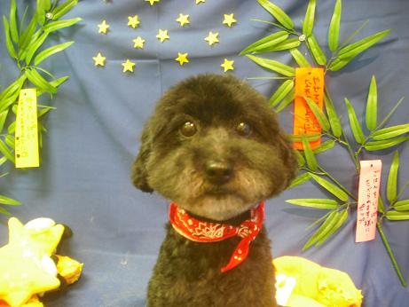 ファイル 4145-2.jpg