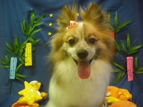 ファイル 4147-1.jpg