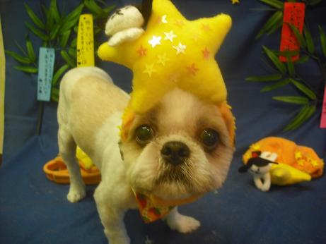 ファイル 4148-1.jpg