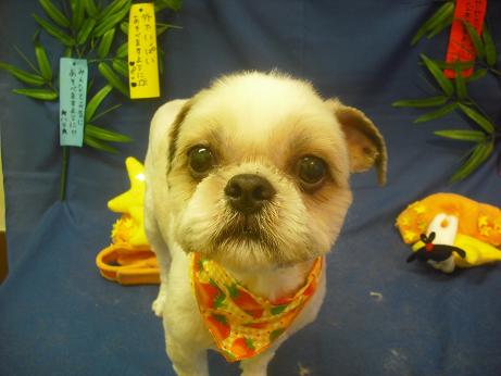 ファイル 4148-2.jpg