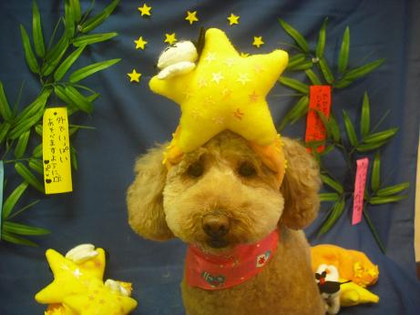 ファイル 4149-1.jpg