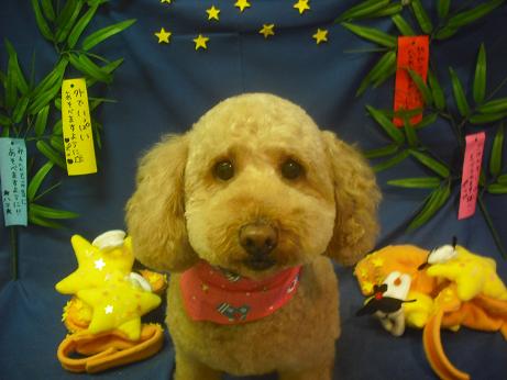 ファイル 4149-2.jpg