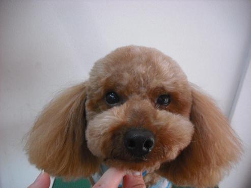 ファイル 415-1.jpg