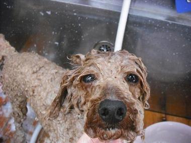 ファイル 415-2.jpg