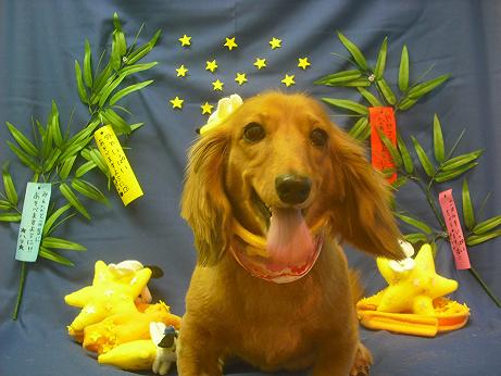 ファイル 4150-1.jpg