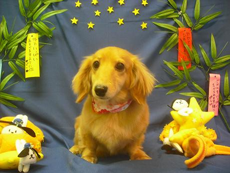 ファイル 4151-2.jpg