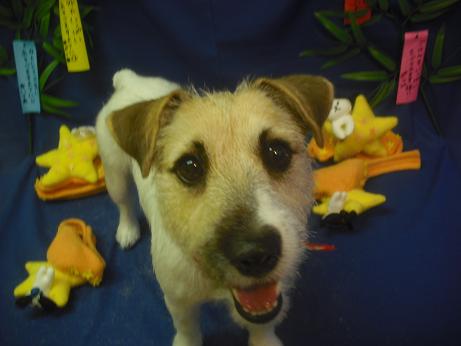 ファイル 4152-2.jpg