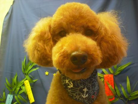 ファイル 4153-1.jpg