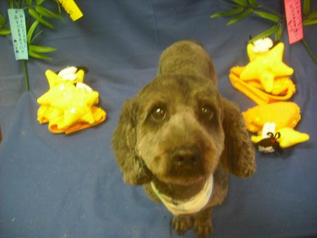 ファイル 4155-2.jpg