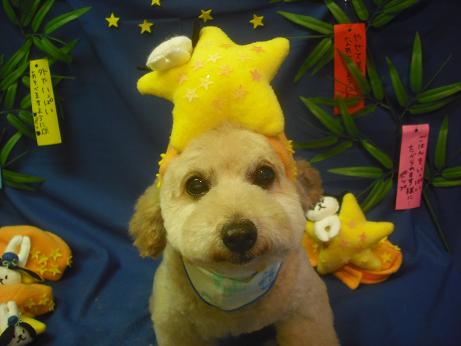 ファイル 4156-1.jpg