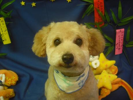 ファイル 4156-2.jpg