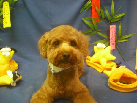 ファイル 4157-1.jpg