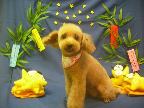 ファイル 4158-2.jpg