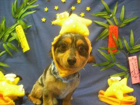 ファイル 4159-1.jpg