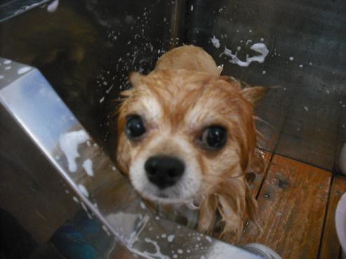 ファイル 416-2.jpg