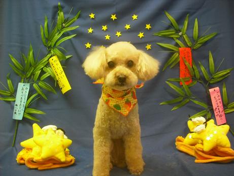 ファイル 4160-2.jpg