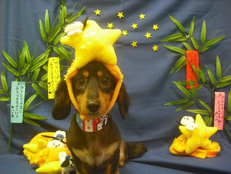 ファイル 4161-1.jpg