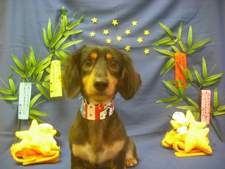 ファイル 4161-2.jpg