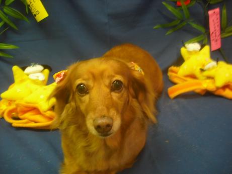 ファイル 4162-2.jpg