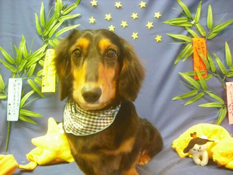 ファイル 4163-2.jpg