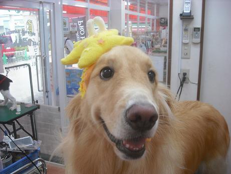 ファイル 4164-1.jpg