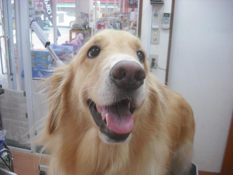 ファイル 4164-2.jpg