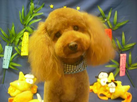 ファイル 4165-2.jpg