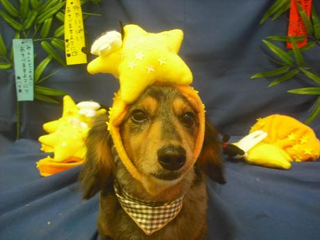 ファイル 4166-1.jpg