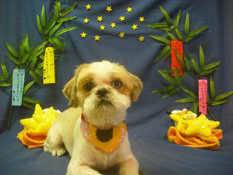 ファイル 4167-2.jpg