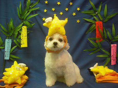 ファイル 4169-1.jpg