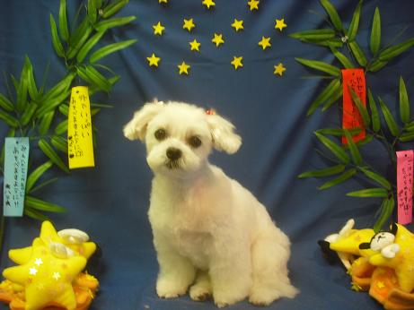 ファイル 4169-2.jpg