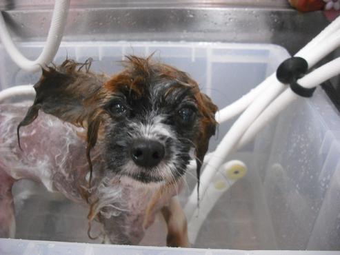 ファイル 417-1.jpg