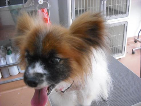 ファイル 417-2.jpg