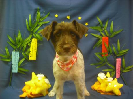 ファイル 4170-2.jpg