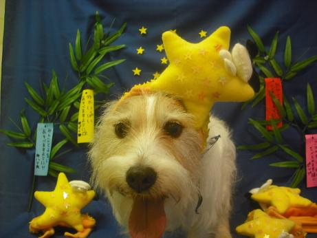 ファイル 4171-1.jpg