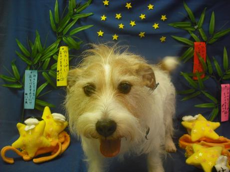 ファイル 4171-2.jpg