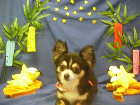 ファイル 4172-2.jpg