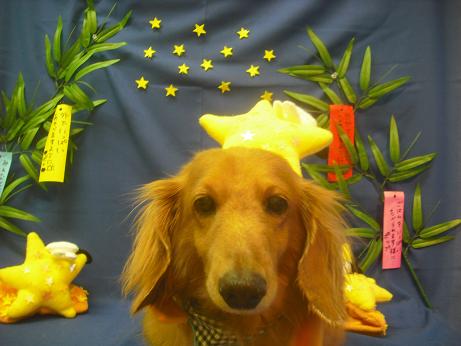 ファイル 4173-1.jpg