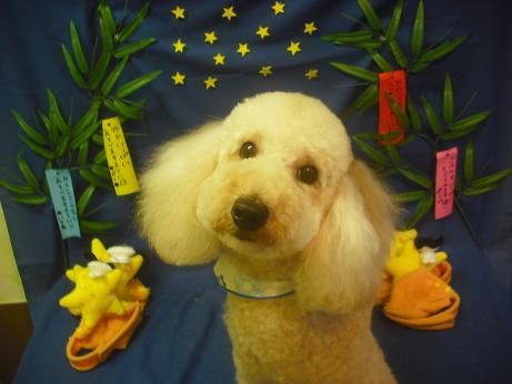 ファイル 4174-2.jpg