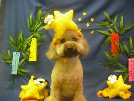 ファイル 4175-1.jpg